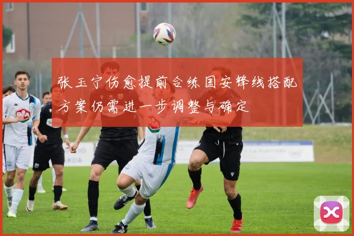 张玉宁伤愈提前合练国安锋线搭配方案仍需进一步调整与确定